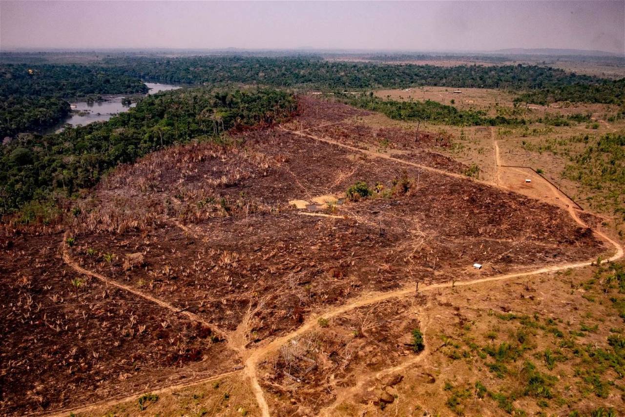 Forest Land Diversion