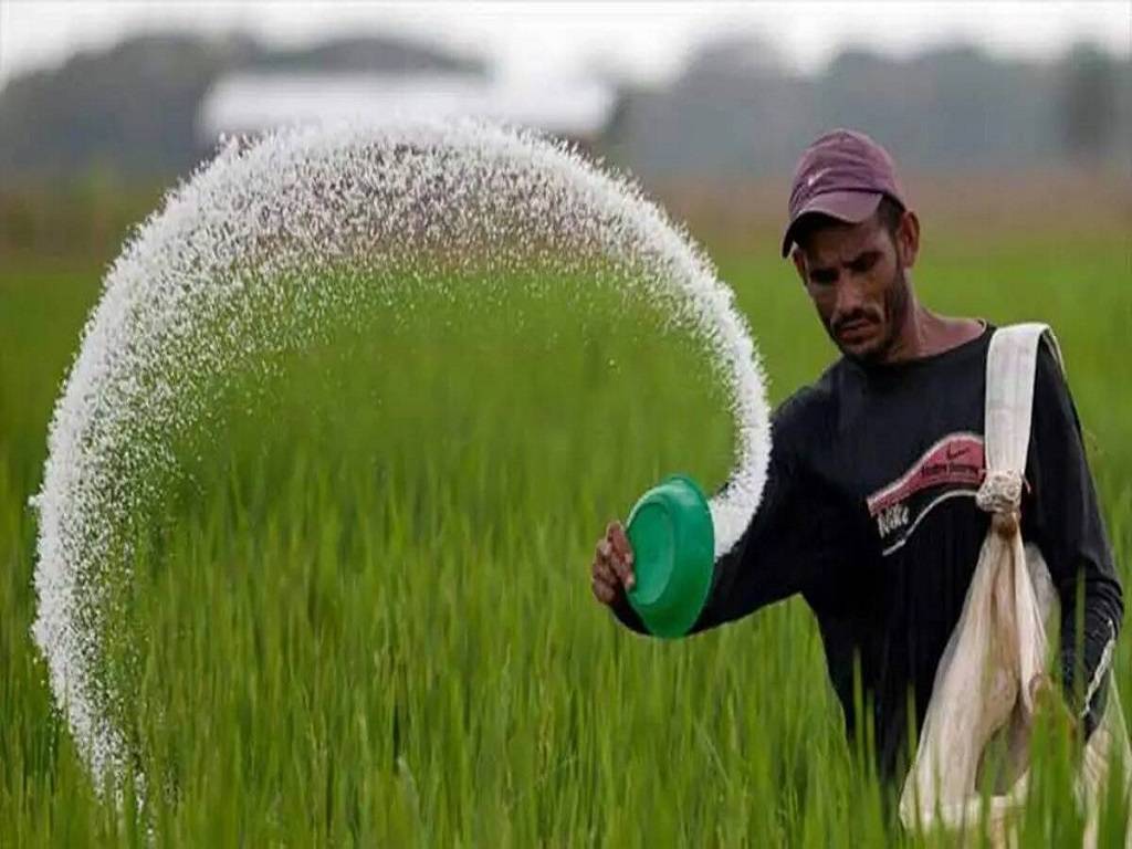 According to the Soil Health Card online, Maharashtra's soil is somewhat alkaline