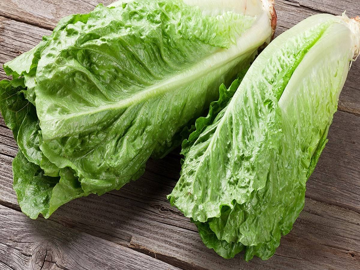 Tips & Tricks for Growing Lettuce in a Container