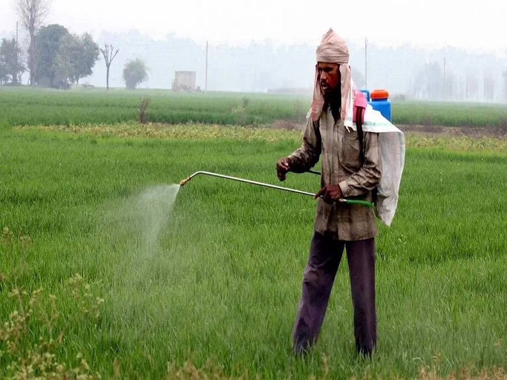 According to the Minister the availability of soil nutrients such as DAP and urea has remained stable during the current rabi season