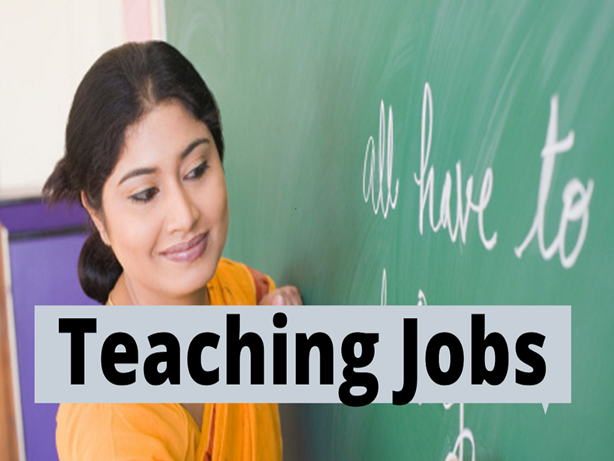There are 1616 job vacancies overall. Principal, TGT, PGT, and Other Teacher Posts