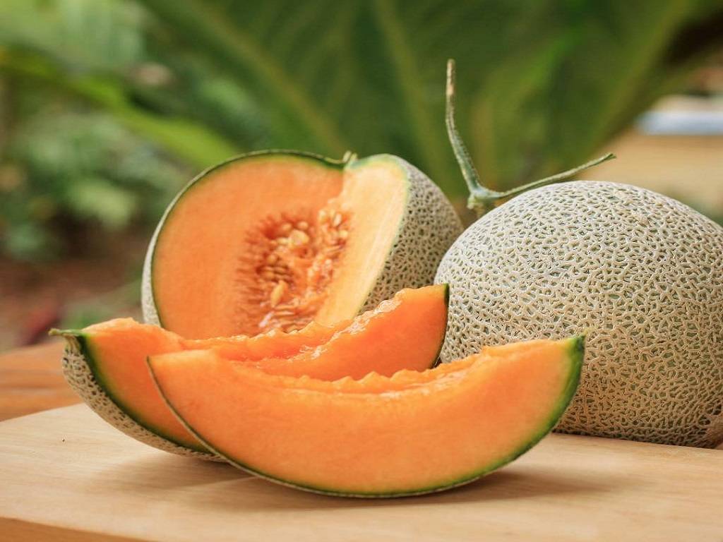 The Glycemic Index value of musk melon is 65