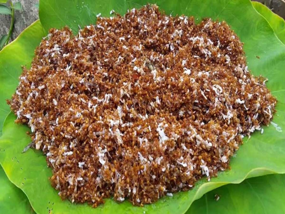 Odisha’s Red Ant Chutney
