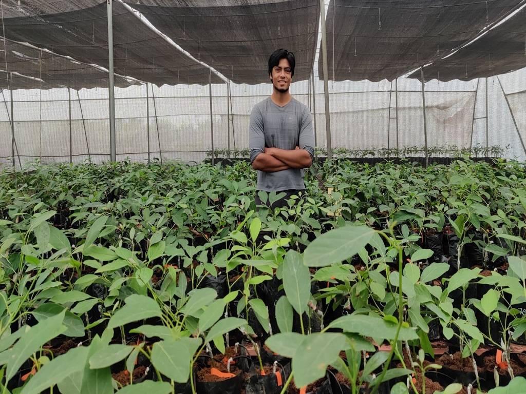 Now, Harshit has a beautiful 5-acre farm where he produces over 1,800 avocado plants