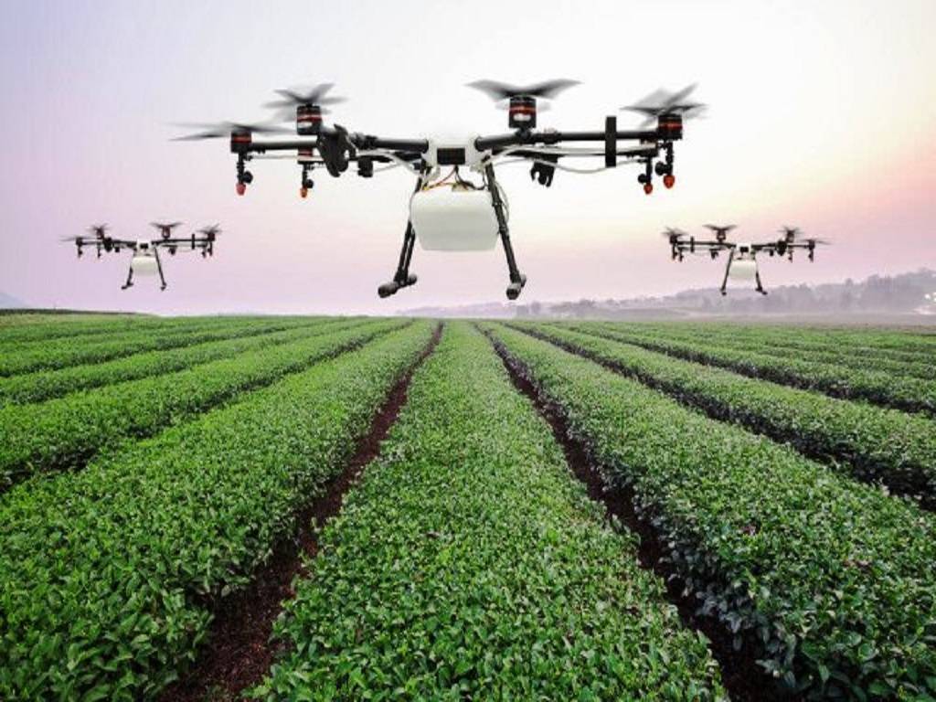 Application of Artificial Intelligence in Horticulture