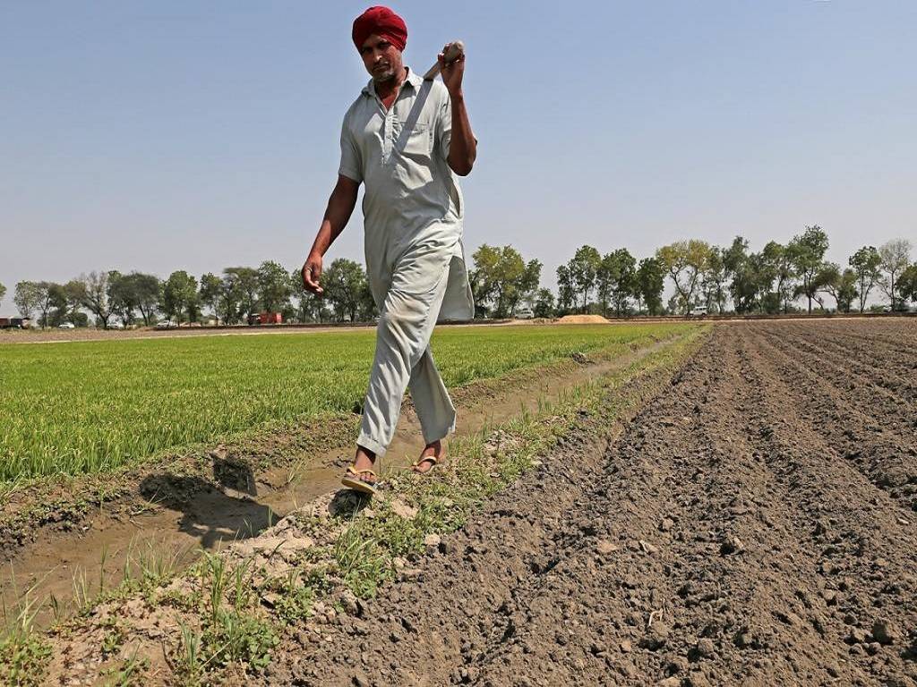 Several firms are working in the right spirit to provide agricultural education and monitoring to farmers