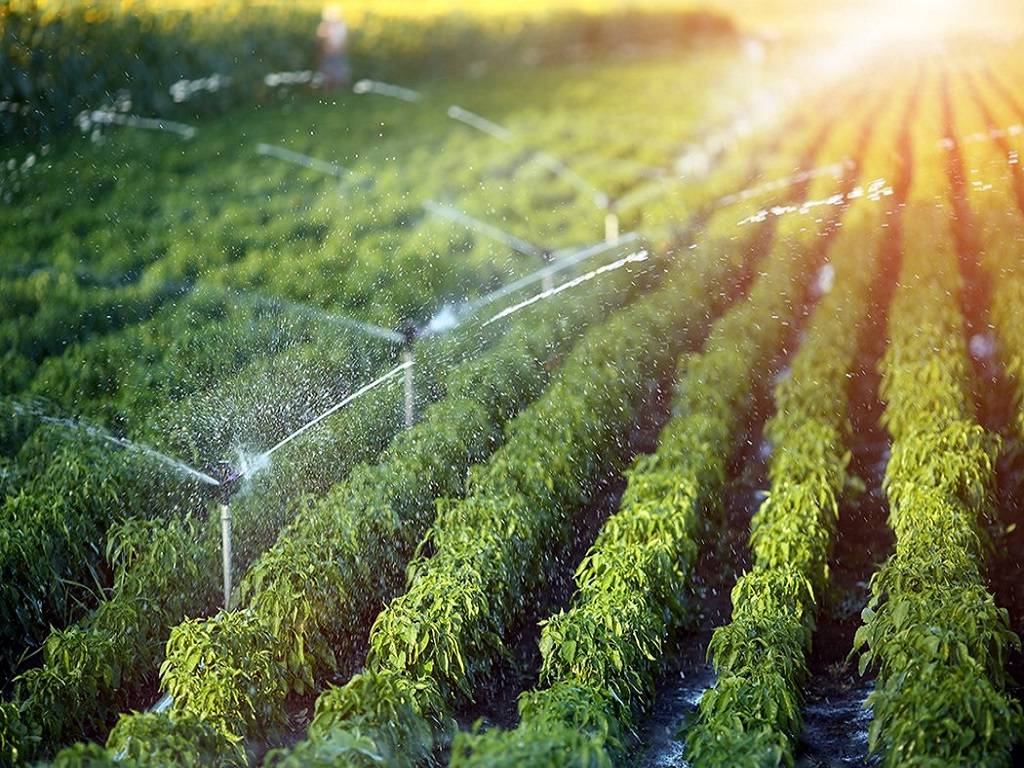 Irrigation is the agricultural process of applying controlled amounts of water to land