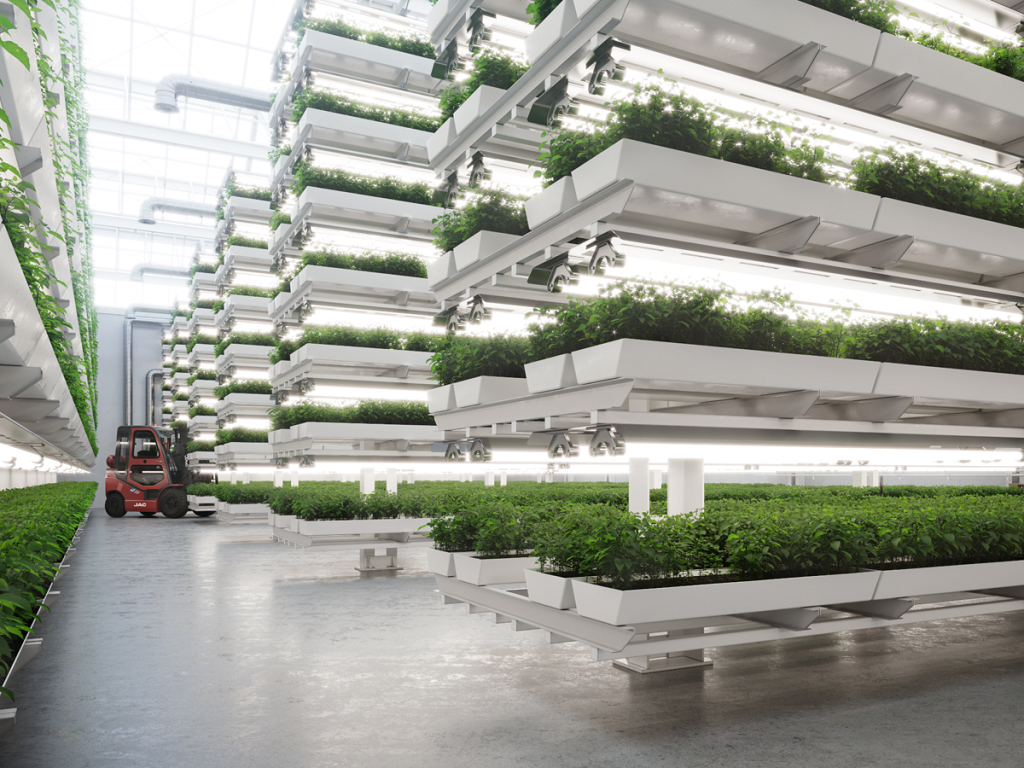 Vertical Farming increases water efficiency while also reducing or eliminating the need for soil for crops.