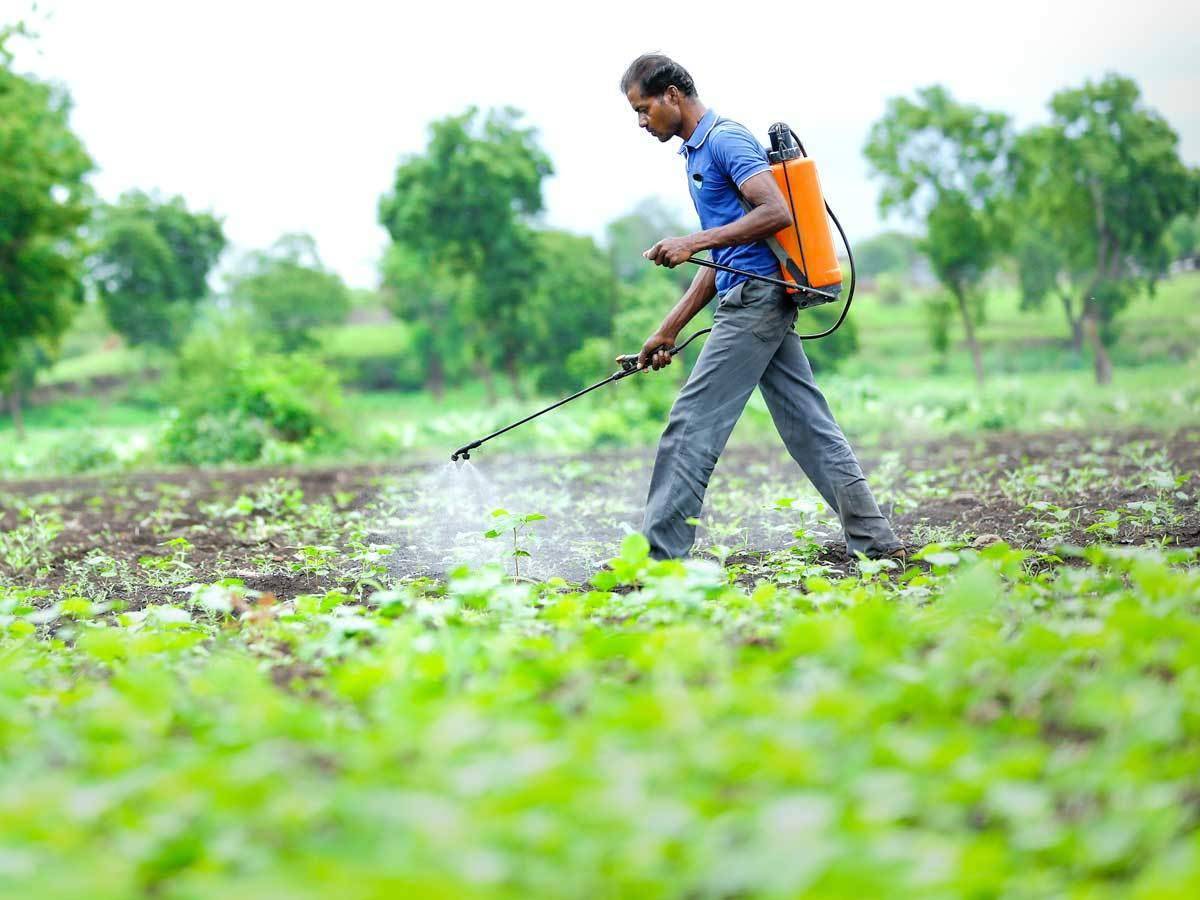 Finding safe and high-quality pesticides has become a tough job for farmers as they get scammed into buying diluted and unsafe pesticides at the promise of cheaper rates.