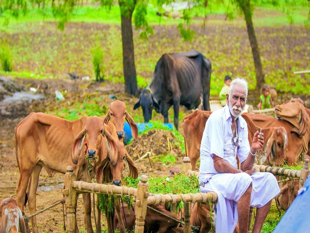 Cow-based farming would be launched in all 47 development blocks.