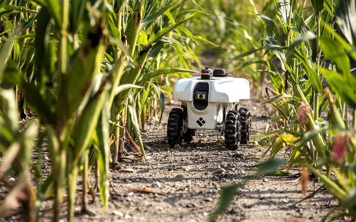 Agribot in Field