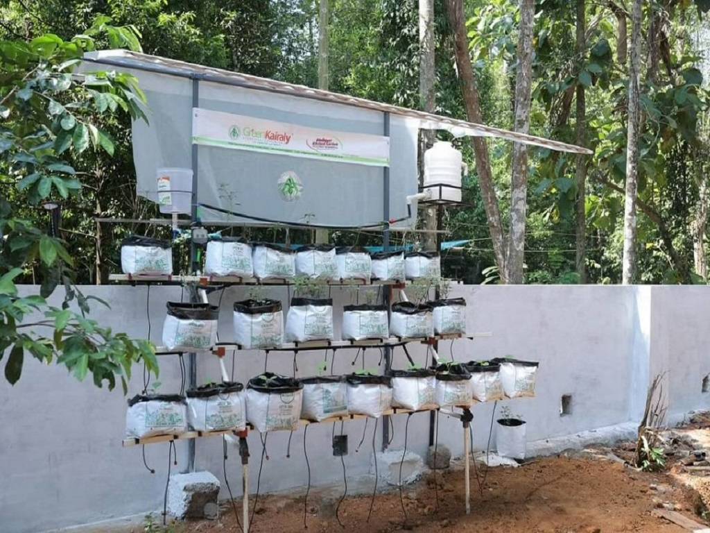 Sanjay's portable plant stand with a self-watering system that does not require electricity