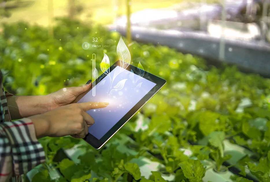 Digital Agriculture