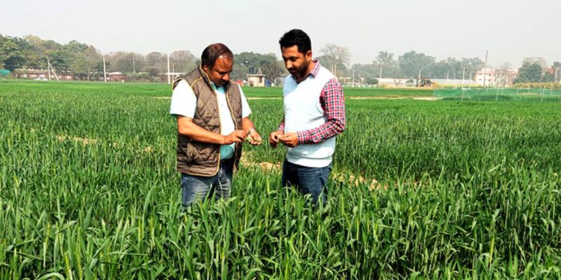 Farmers in Field