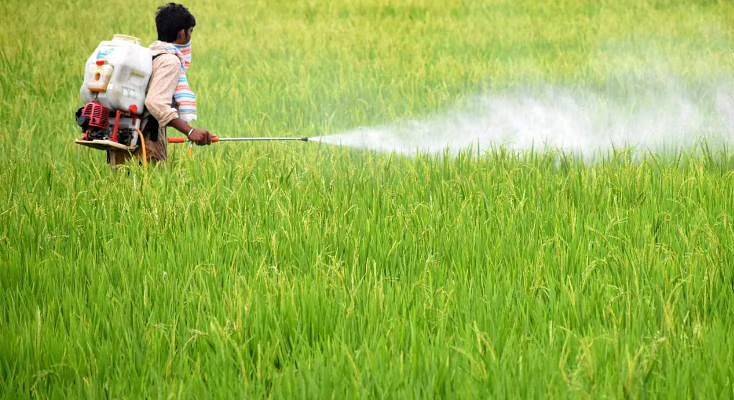 Pesticide application in a cropfield