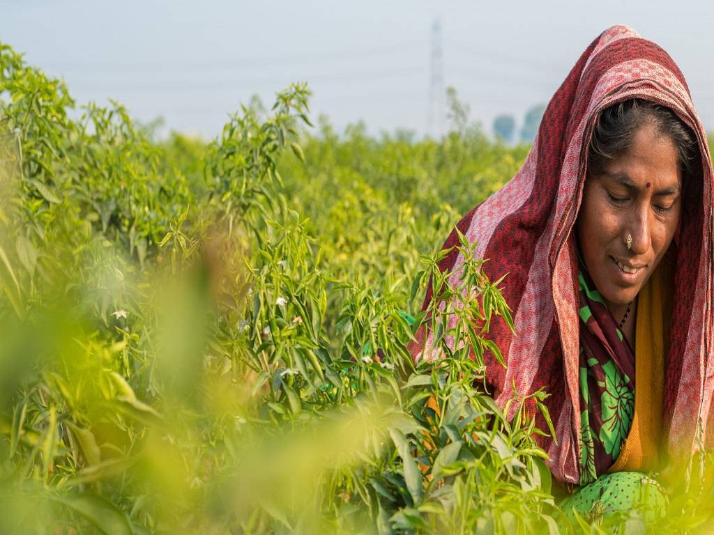 Farmers who are already taking benefit of PM Kisan Yojana can link the PM Kisan Maandhan account.