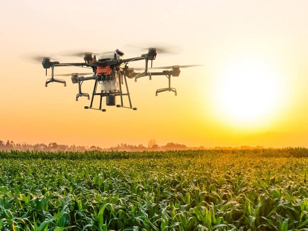 The farmer started using drones for spraying in his field to reduce farm labour expenses .