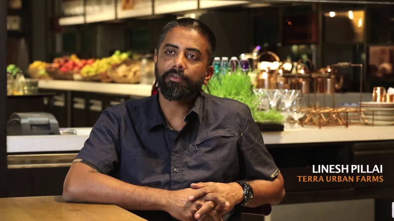 Linesh Pillai, a former banker turned farmer, established India's first vertical farm in Mumbai.