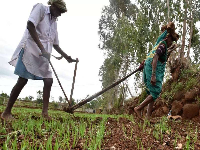 Farmers Working In The Field