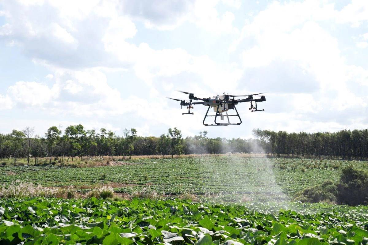 Fertilizer Spraying with Drone
