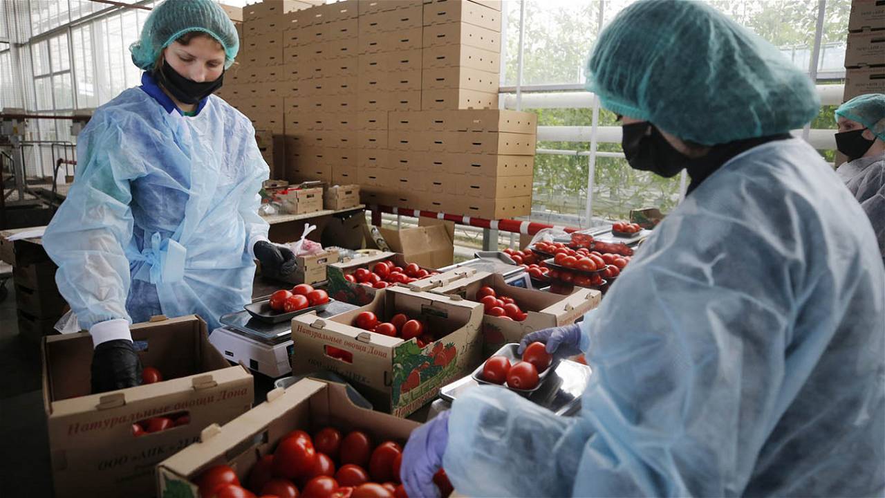Organic Certification Agencies Analyzing Indian Processed Products