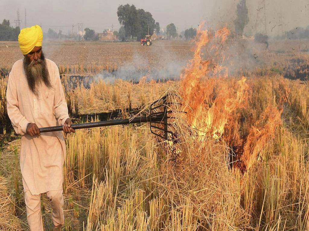 The incentives programme will be available to all farmers who stop burning paddy residue, according to the proposal.