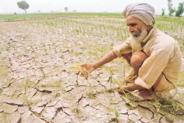 Farmer in an area with a lack of rain