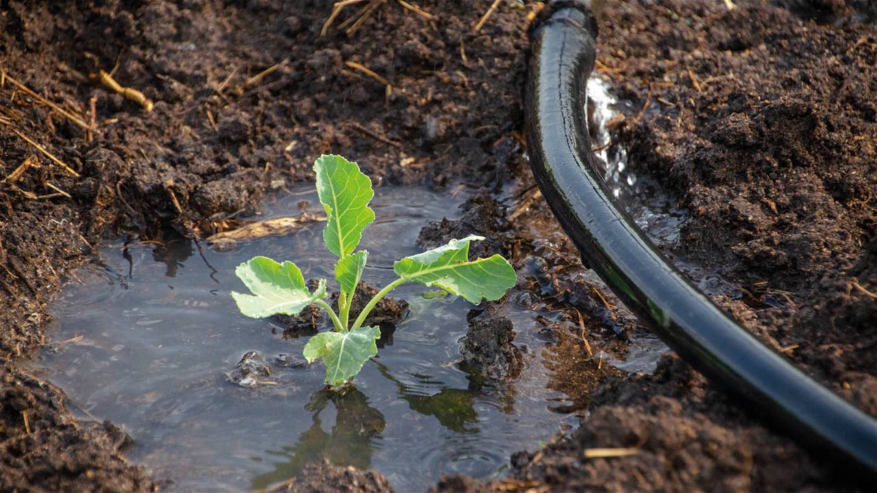 Water Conservation in Agriculture