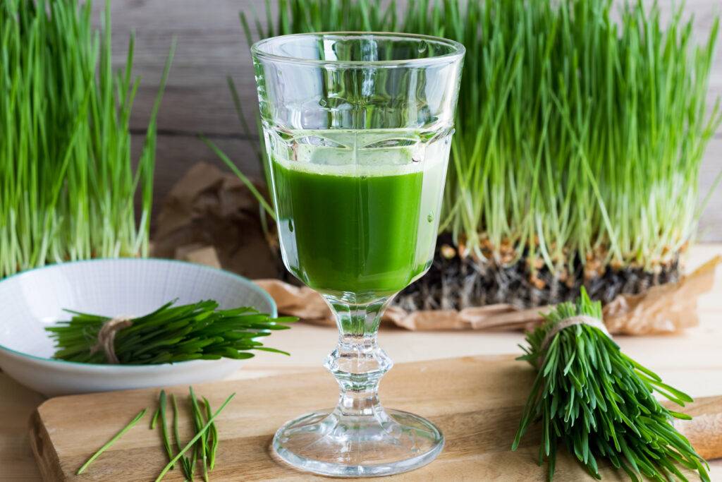 A wheatgrass shot in the morning is recommended as a healthy way to start the day.