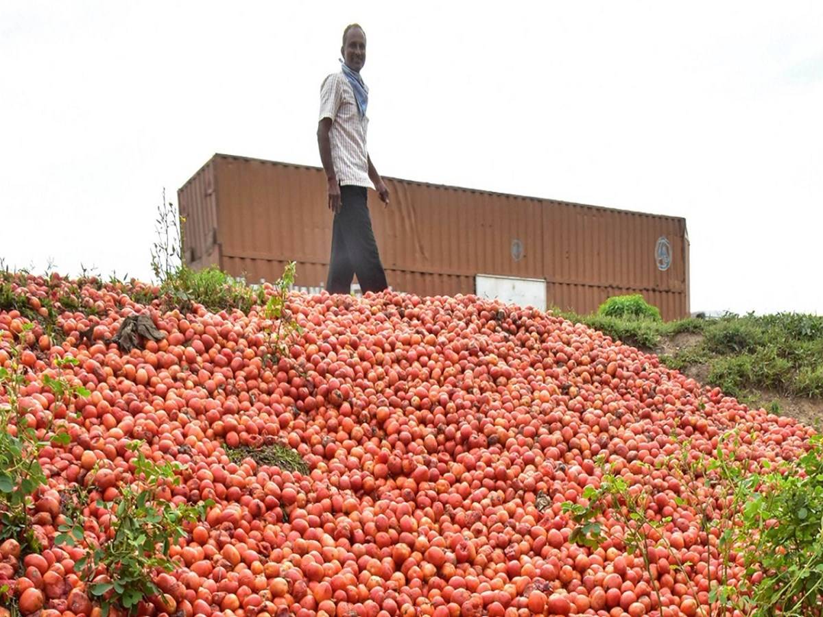 A farmers said that the unsold tomatoes were being dumped in garbage bins to mark their protest.