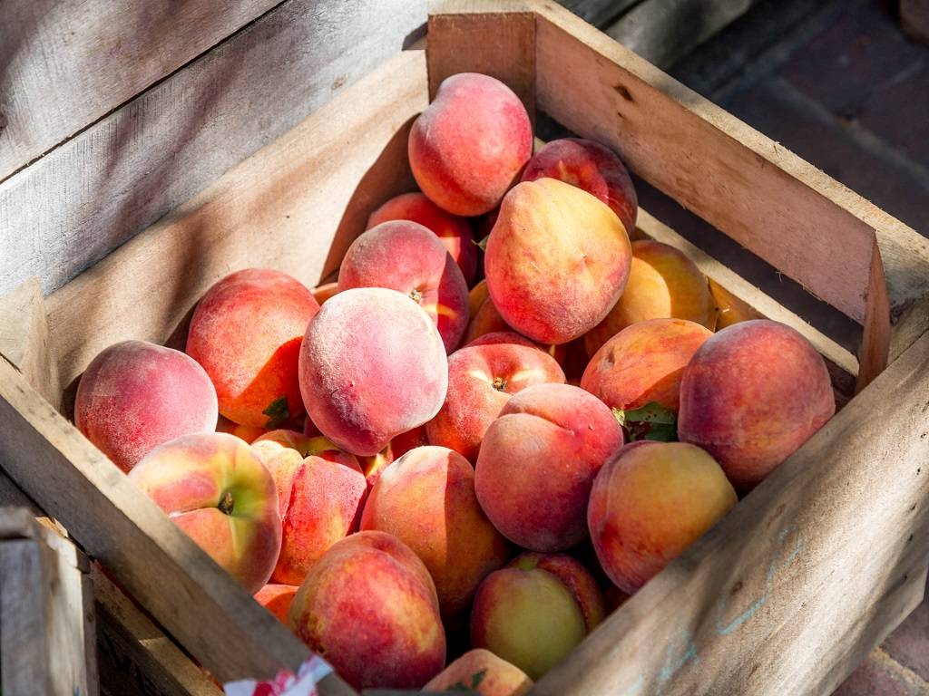 Uttarakhand is popular for having luscious peaches.