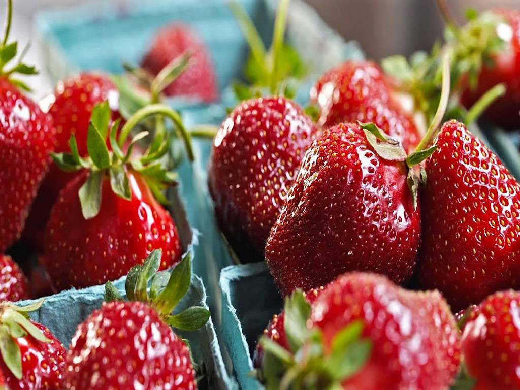 Garden fresh strawberries from Sohliya.