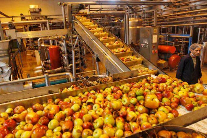 Food Processing Industry