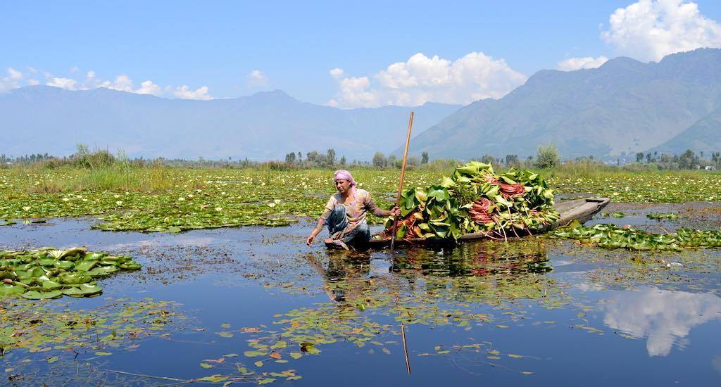 Wular Lake, J&K