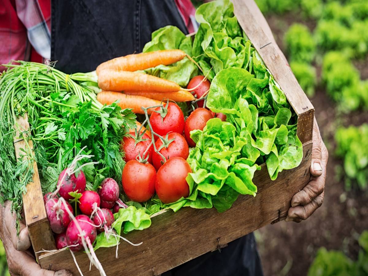 Bhopal’s Organic Farming is Booming as Farmers Hope for Market Expansion