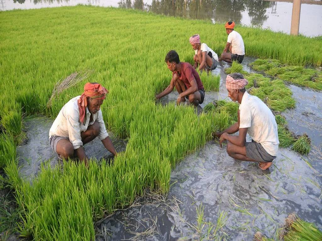 The farmers will receive up to Rs. 1500 this season for double irrigation of paddy and jute.