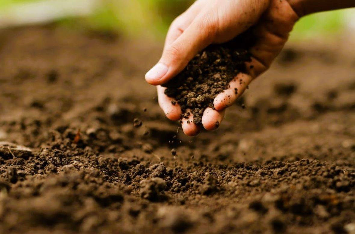 Soil Is Life, Conserve It!!