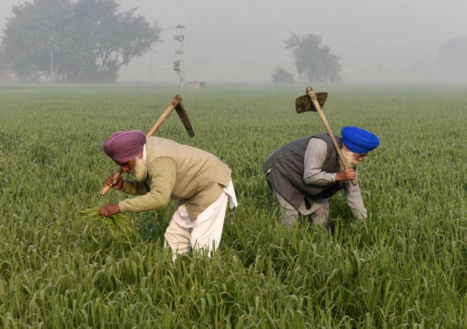 indian farmers