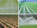 Irrigation System: Know the Different Types and Various Methods 