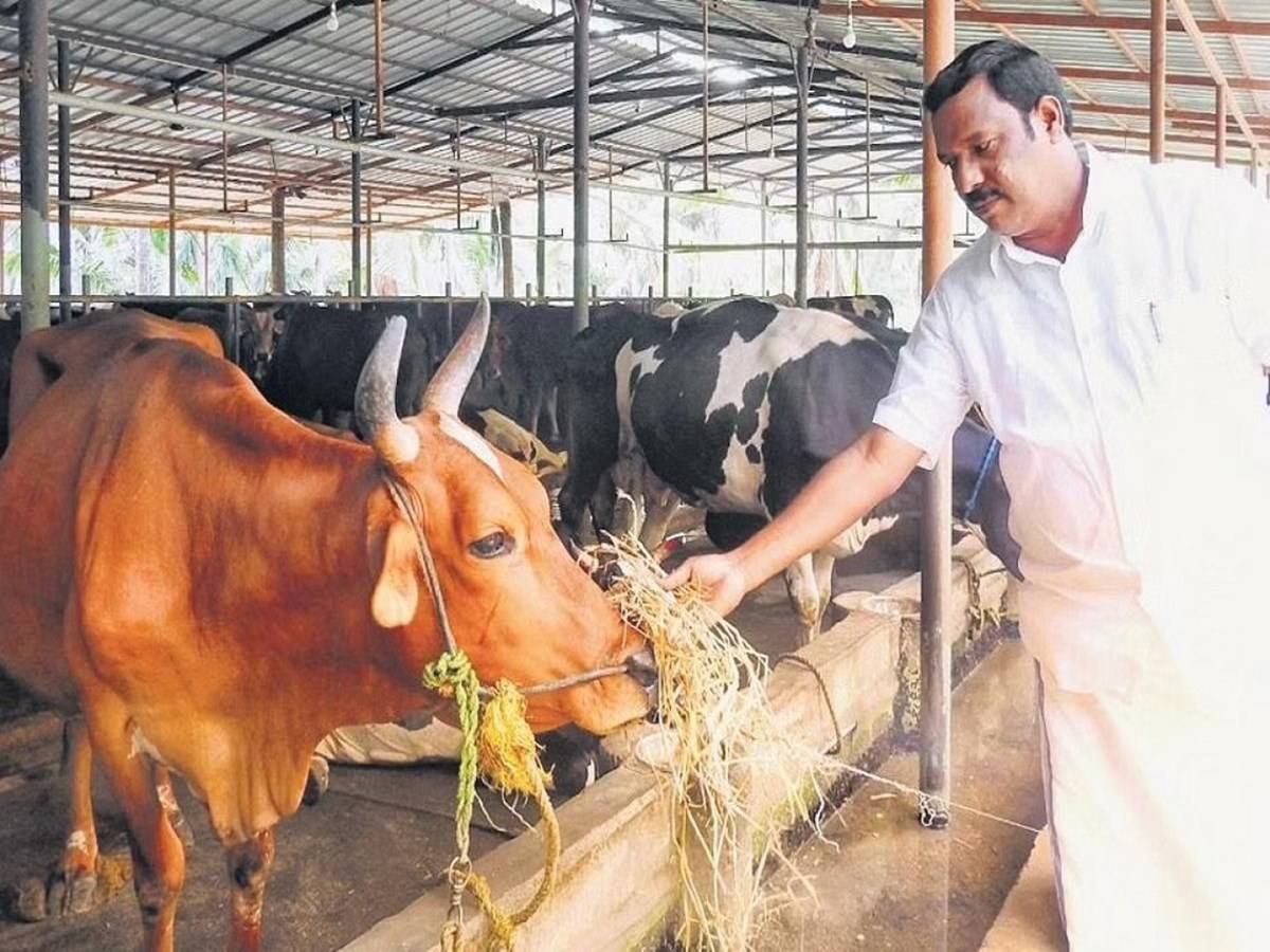 Presently, around two lakh farmers are providing milk for 3,600 dairy cooperative societies across the state.