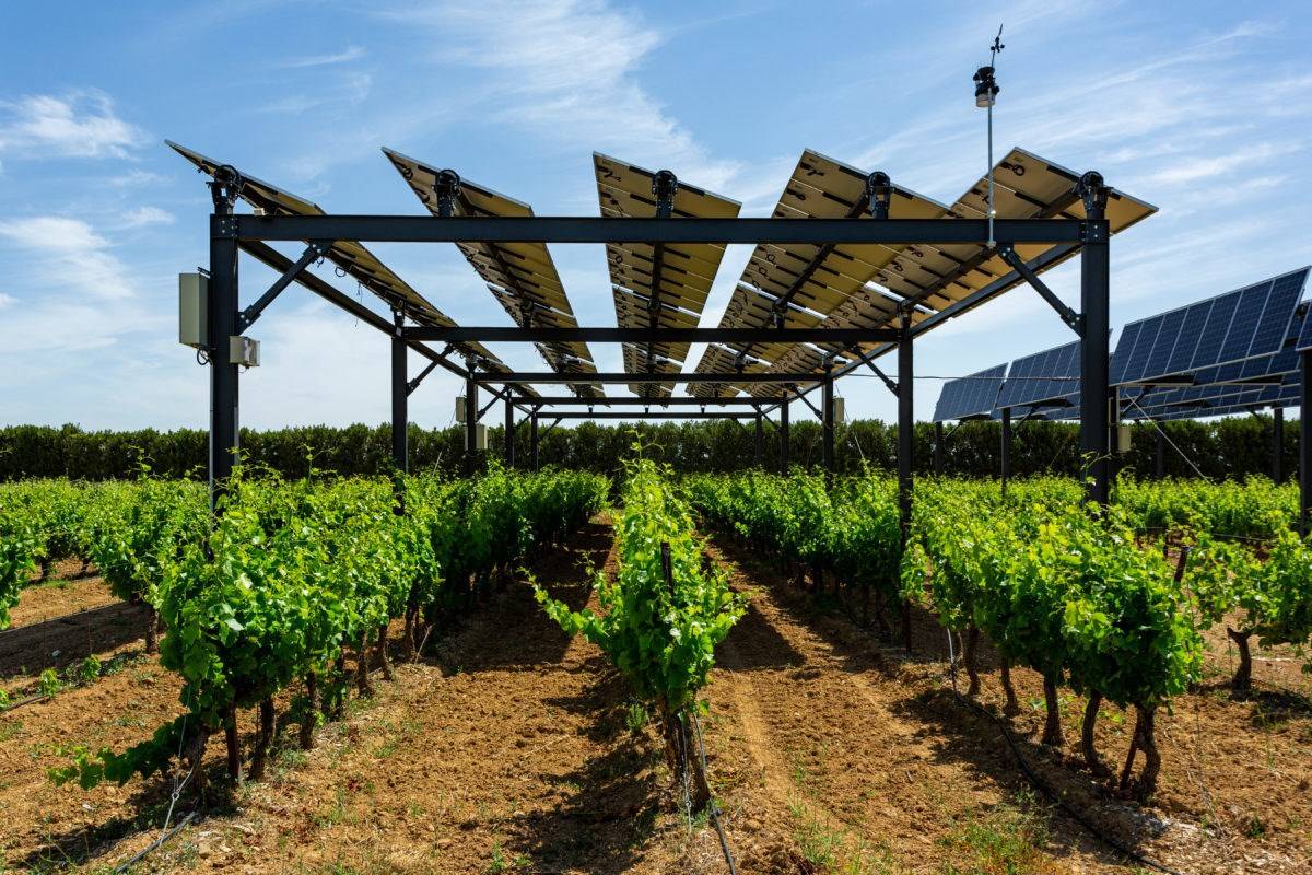 Agrivoltaics creates a cost-efficient, successful, and creative solution to land constraints by combining agricultural and renewable energy synergies.
