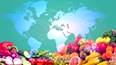 Centre Plans to Increase Food Exports to $23.56 billion in FY23