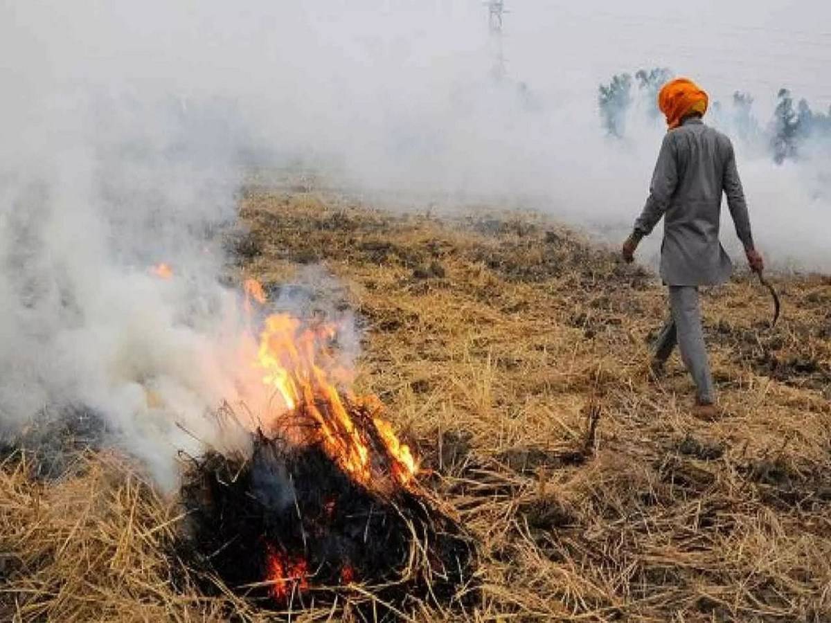 According to Jagdish Singh, Joint Director of Agriculture (engineering wing), "Farmers youth and women will all be included in our physical and social media campaigns.”