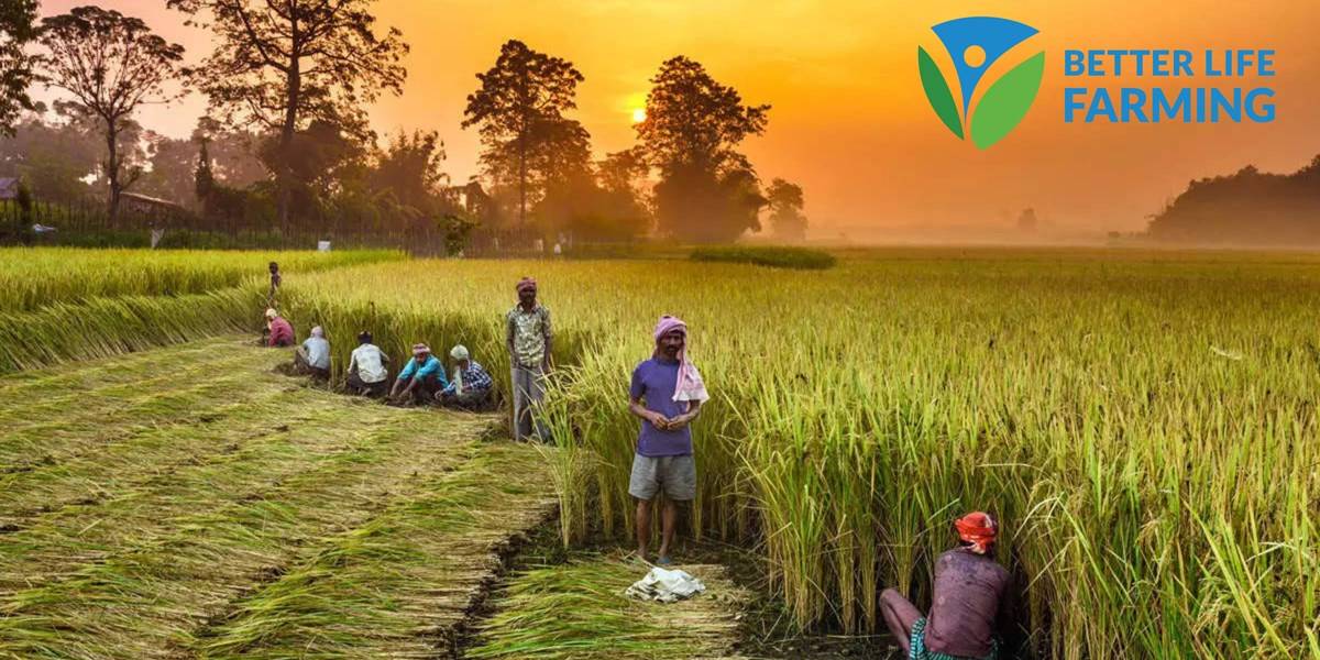 A global multi-stakeholder alliance called Better Life Farming works with partners along the entire agri-value chain to help smallholder farmers in developing nations raise crop yields and farm incomes.