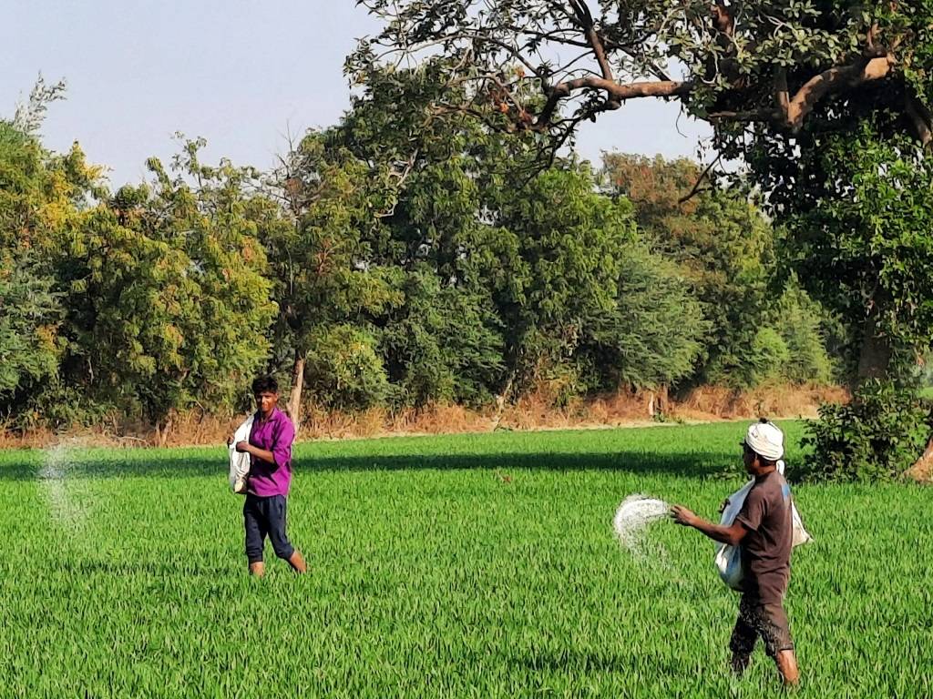 The Meghalaya State Cooperative Marketing and Consumers' Federation Limited, a division of the cooperation department, would ultimately handle the distribution of these fertilizers.