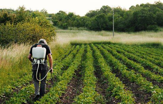 Spraying Fertilizer in Field