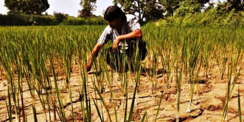 Drought affected land