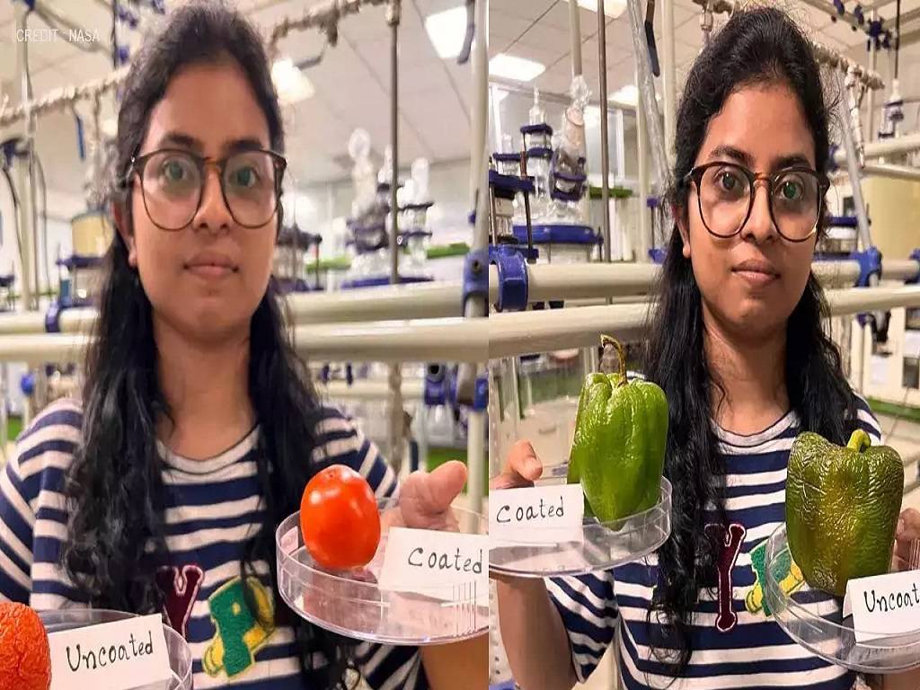 To create protective, edible films for coating on vegetables and fruits, the scientists combined micro-algae extract with polysaccharides.