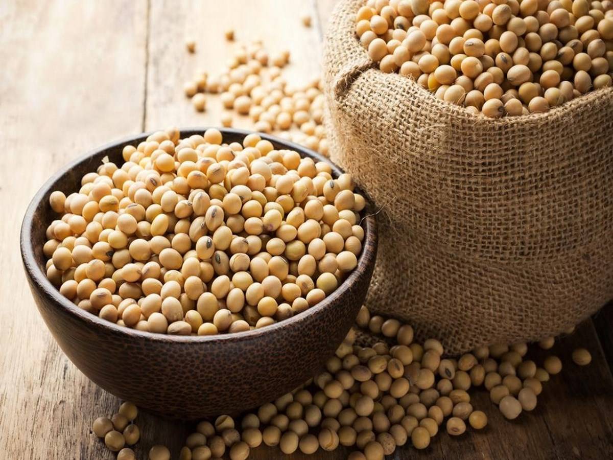 India's soybean crop is generally in average to good condition.