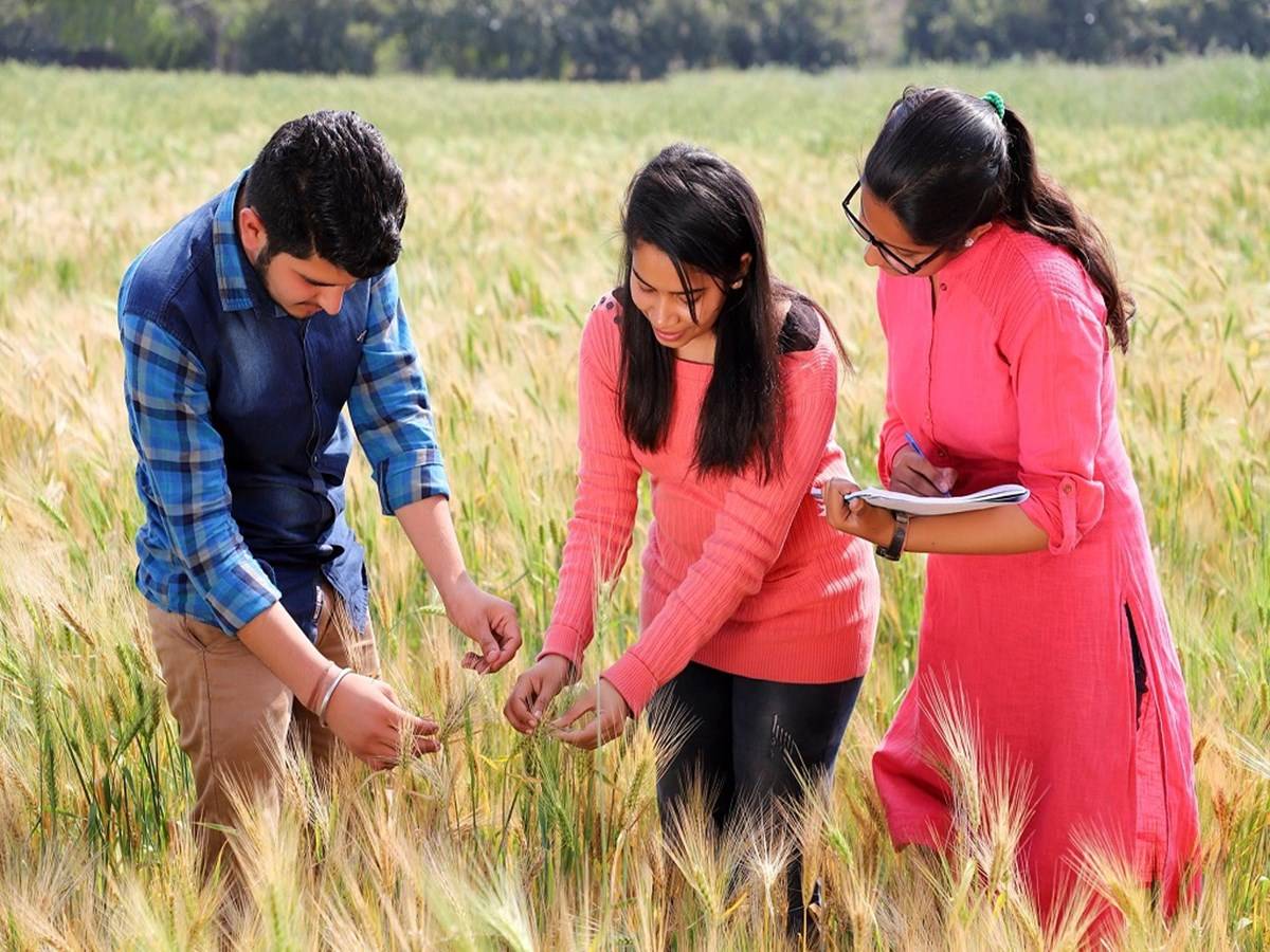 The Department of Agriculture and Horticulture will provide MSc students with a stipend of Rs.9,000 and PhD students with a stipend of Rs.12,000.
